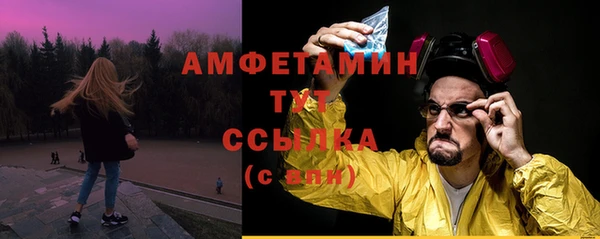 шишки Алексин