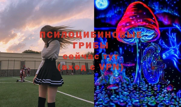 крисы Алзамай