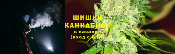 шишки Алексин