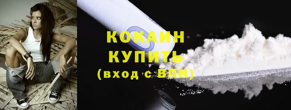 индика Семикаракорск