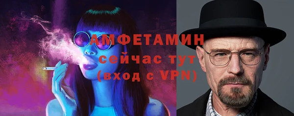 шишки Алексин