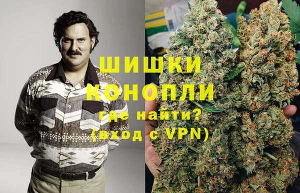 крисы Алзамай