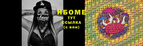 крисы Алзамай