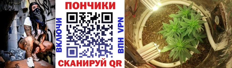 Каннабис White Widow  как найти закладки  Заволжск 